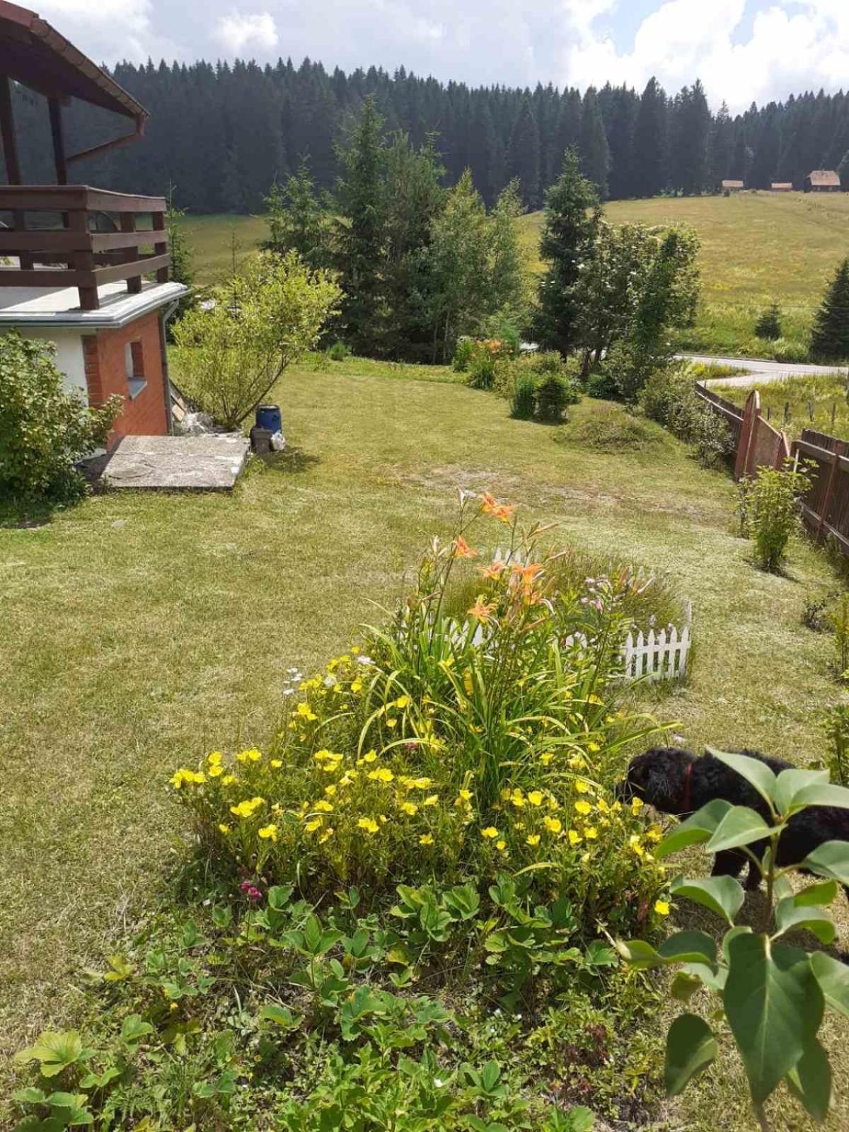 Semesterbostad Mountain House-planinska Vikendica